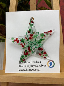 Ornament - Crushed Red/Green Star