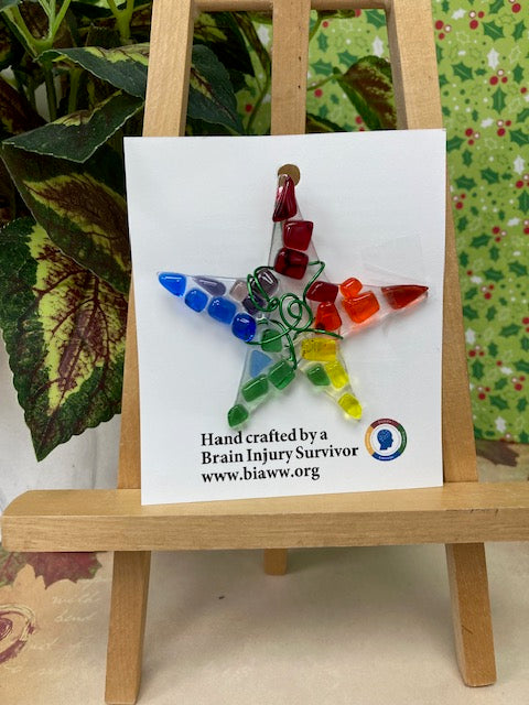 Ornament - Rainbow Star with Green Wire