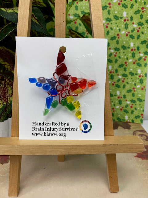 Ornament - Rainbow Star with Red Wire