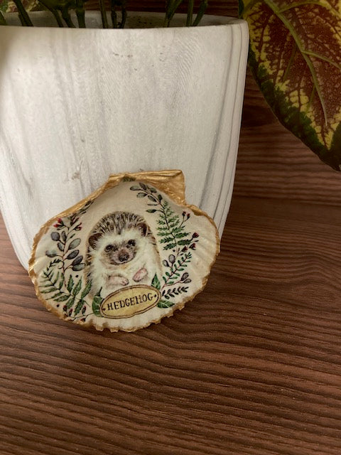 Shell Trinket Dishes - Clamshell Animal, Hedgehog